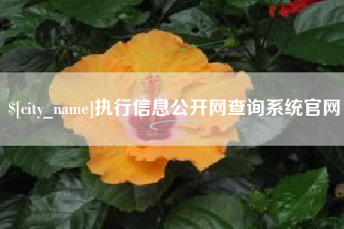 伊犁哈萨克执行信息公开网查询系统官网