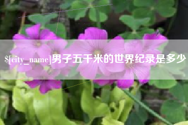 伊犁哈萨克男子五千米的世界纪录是多少