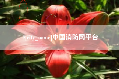 伊犁哈萨克中国消防网平台