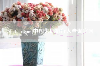伊犁哈萨克中国失信执行人查询官网
