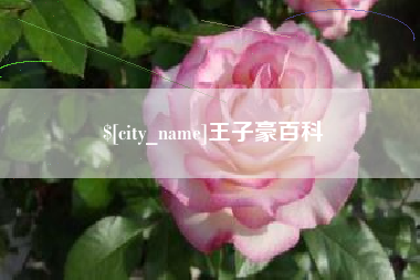 伊犁哈萨克王子豪百科