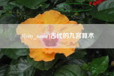 伊犁哈萨克古代的九宫算术