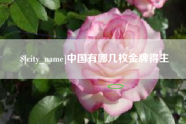 伊犁哈萨克中国有哪几枚金牌得主