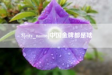 伊犁哈萨克中国金牌都是啥