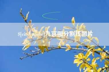 伊犁哈萨克九宫图分割线图片