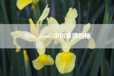 伊犁哈萨克中国金牌包括