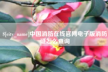 伊犁哈萨克中国消防在线官网电子版消防证怎么查询