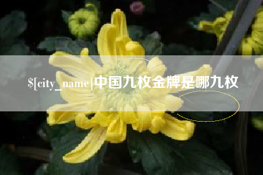 伊犁哈萨克中国九枚金牌是哪九枚