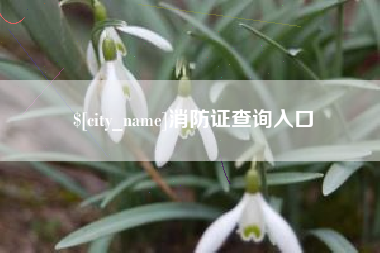 伊犁哈萨克消防证查询入口