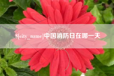 伊犁哈萨克中国消防日在哪一天