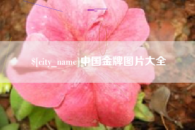 伊犁哈萨克中国金牌图片大全