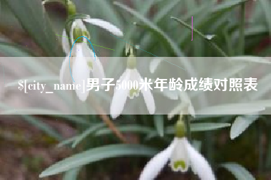 伊犁哈萨克男子5000米年龄成绩对照表