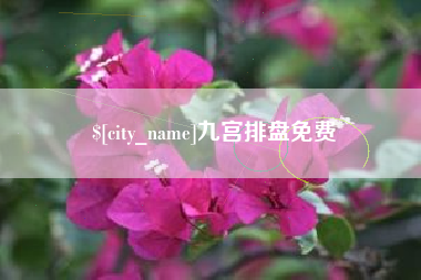 伊犁哈萨克九宫排盘免费