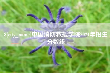 伊犁哈萨克中国消防救援学院2024年招生分数线