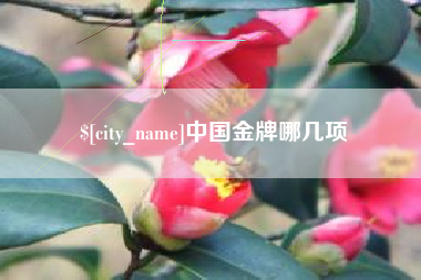 伊犁哈萨克中国金牌哪几项