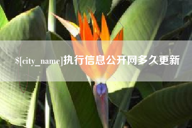 伊犁哈萨克执行信息公开网多久更新
