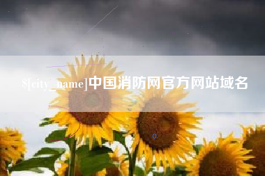 伊犁哈萨克中国消防网官方网站域名