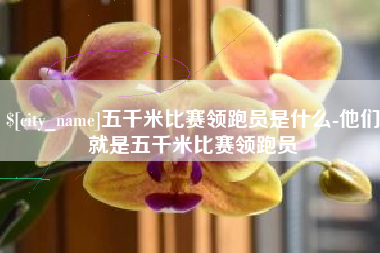 伊犁哈萨克五千米比赛领跑员是什么-他们就是五千米比赛领跑员