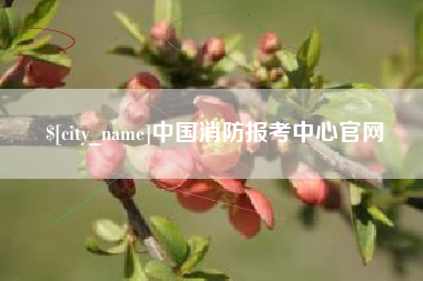 伊犁哈萨克中国消防报考中心官网
