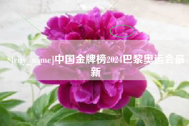 伊犁哈萨克中国金牌榜2024巴黎奥运会最新