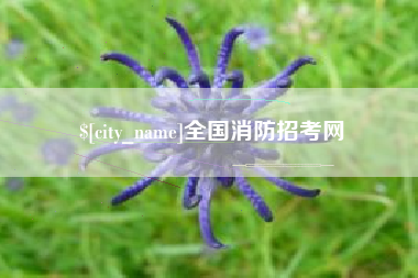 伊犁哈萨克全国消防招考网