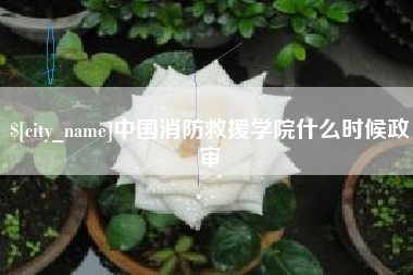伊犁哈萨克中国消防救援学院什么时候政审
