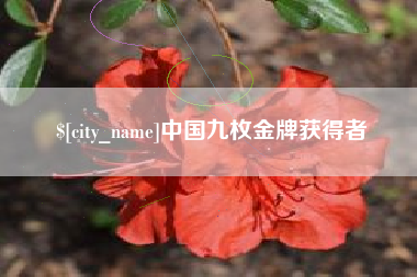 伊犁哈萨克中国九枚金牌获得者