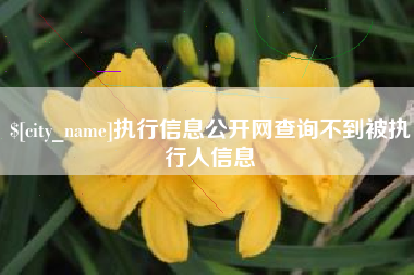 伊犁哈萨克执行信息公开网查询不到被执行人信息