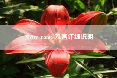 伊犁哈萨克九宫详细说明