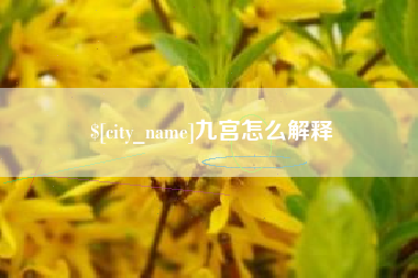 伊犁哈萨克九宫怎么解释
