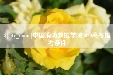 伊犁哈萨克中国消防救援学院2020高考报考条件