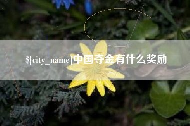 伊犁哈萨克中国夺金有什么奖励