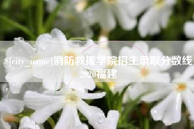 伊犁哈萨克消防救援学院招生录取分数线2020福建