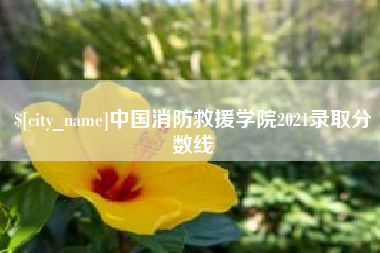 伊犁哈萨克中国消防救援学院2021录取分数线
