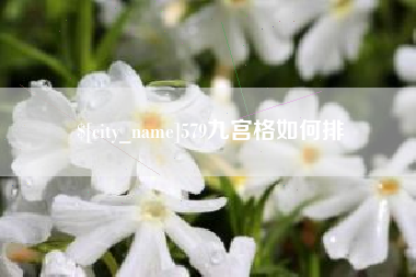 伊犁哈萨克579九宫格如何排