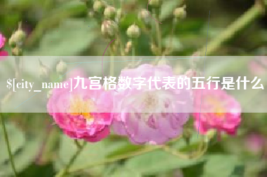 伊犁哈萨克九宫格数字代表的五行是什么