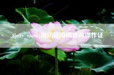 伊犁哈萨克消防证国网查询操作证
