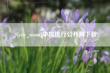 伊犁哈萨克中国执行公开网下载