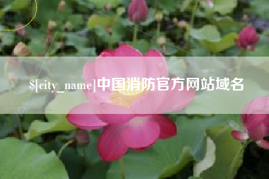 伊犁哈萨克中国消防官方网站域名