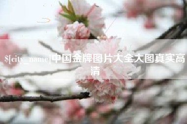伊犁哈萨克中国金牌图片大全大图真实高清