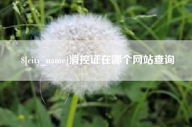 伊犁哈萨克消控证在哪个网站查询