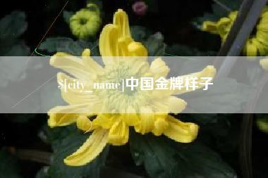 伊犁哈萨克中国金牌样子
