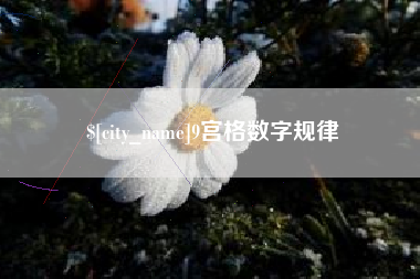 伊犁哈萨克9宫格数字规律