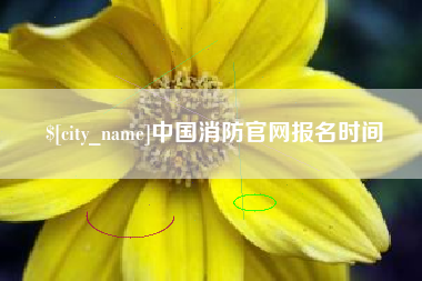 伊犁哈萨克中国消防官网报名时间
