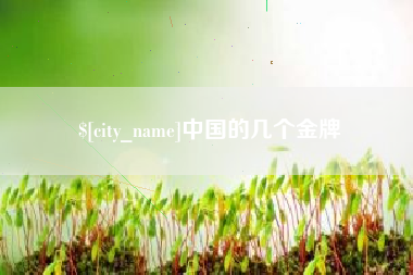 伊犁哈萨克中国的几个金牌