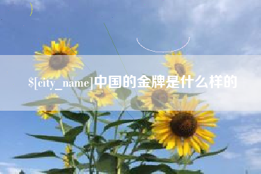 伊犁哈萨克中国的金牌是什么样的