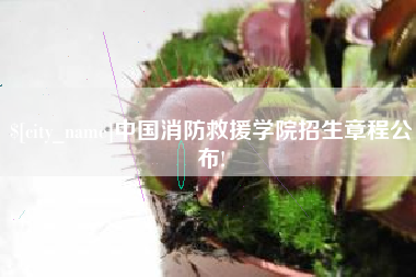 伊犁哈萨克中国消防救援学院招生章程公布!