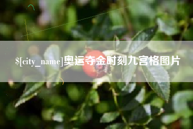 伊犁哈萨克奥运夺金时刻九宫格图片