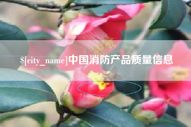 伊犁哈萨克中国消防产品质量信息