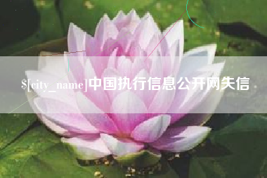 伊犁哈萨克中国执行信息公开网失信